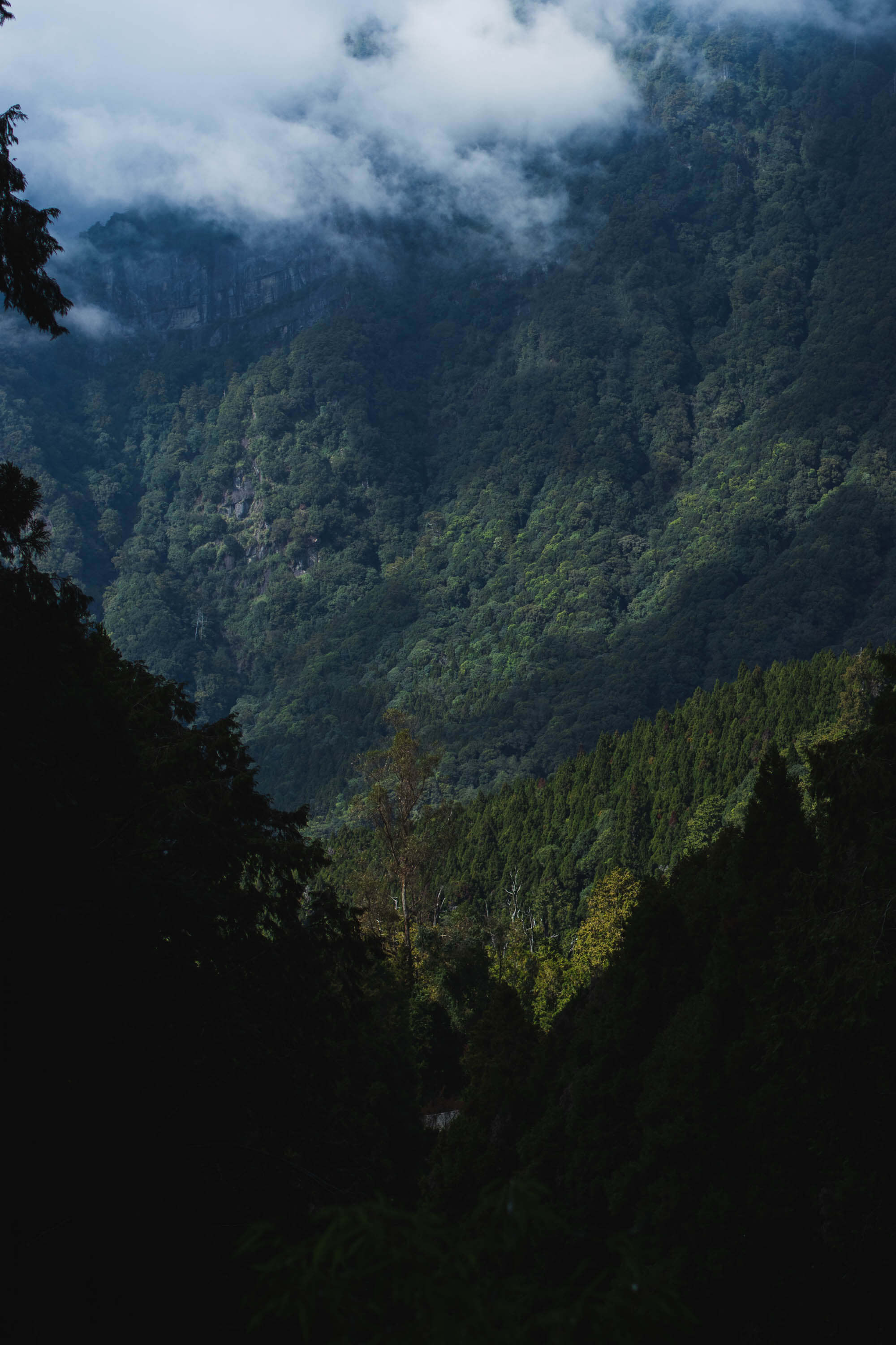 阿里山景點推薦：阿里山秘境