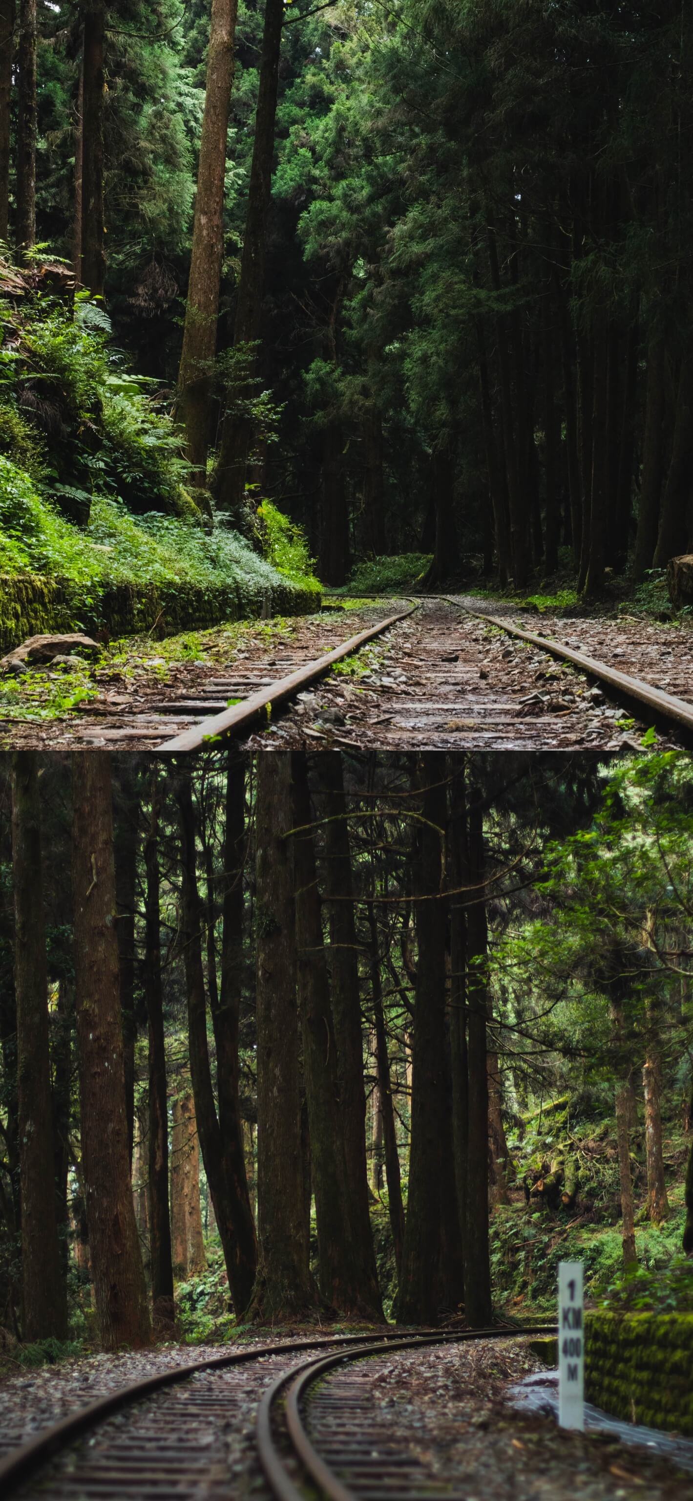 阿里山景點：阿里山水山線森林鐵路及沿途的公理標識牌