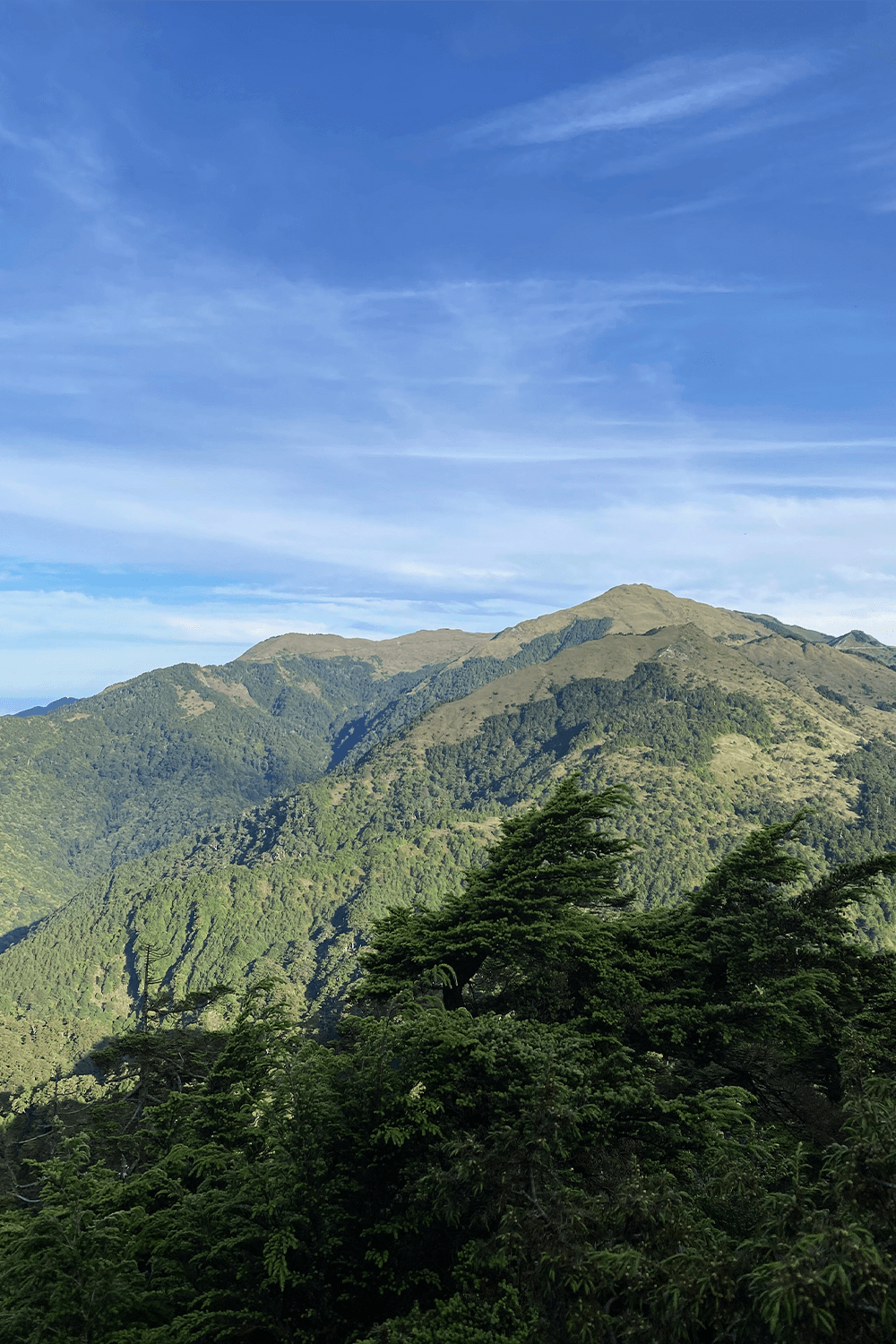 morning at chile mt.